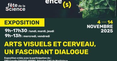 Arts visuels et cerveau, un fascinant dialogue