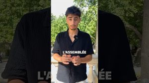 Assemblée et Sénat : Comprendre leurs rôles en France