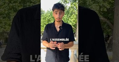 Assemblée et Sénat : Comprendre leurs rôles en France