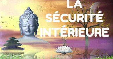 Assurer la Sécurité Intérieure : Enjeux et Stratégies