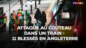 Attaque au couteau dans un train en Angleterre : 11 blessés