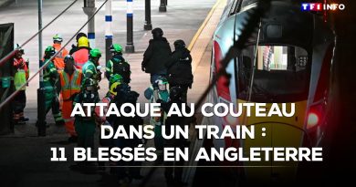 Attaque au couteau dans un train en Angleterre : 11 blessés