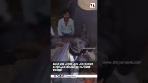 Attaque de hindous contre éleveurs accusés de trafic de bétail