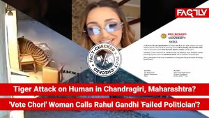 Attaque de tigre en Maharashtra : Rahul Gandhi critiqué !