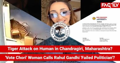 Attaque de tigre en Maharashtra : Rahul Gandhi critiqué !