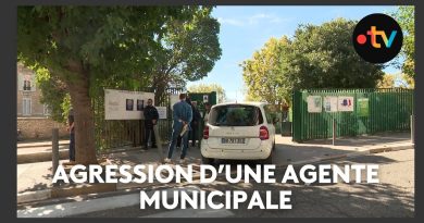 Attaque d'une Atsem à son arrivée à l'école à Marseille