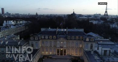 Attentat déjoué au Palais de l'Élysée : l'Info du Vrai