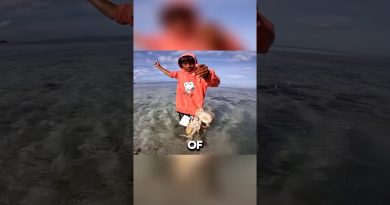 Attraper des poissons de sable à marée basse