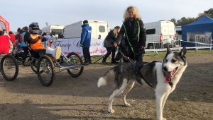 illustration agrandir l