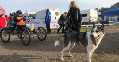 illustration agrandir l