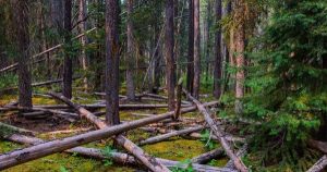 Au-delà du rejet du projet de loi 97