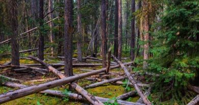 Au-delà du rejet du projet de loi 97