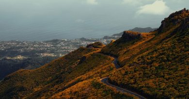 Occitanie, Toulouse, Montpellier, landscape, sea, mountain, vineyard, canal