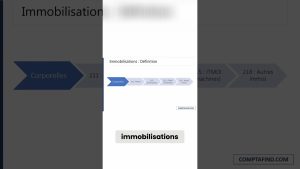 Audit des Immobilisations : Cours Pratique des Big 4