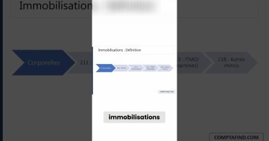 Audit des Immobilisations : Cours Pratique des Big 4