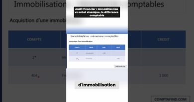 Audit des immobilisations : Cours des Big 4 en finance