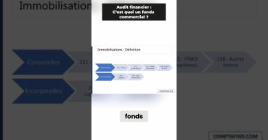 Audit des immobilisations : Cours financier des Big 4