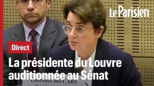 Audition au Sénat : Vol de bijoux au Louvre, suivez en direct