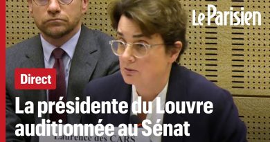Audition au Sénat : Vol de bijoux au Louvre, suivez en direct