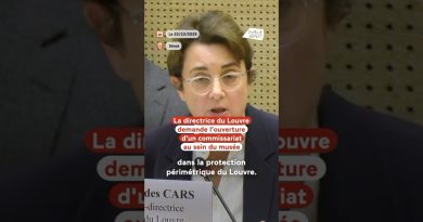 🔍 Audition de la directrice du Louvre au Sénat après le vol