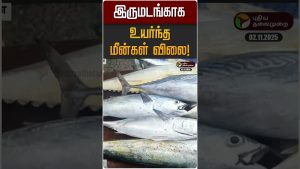 Augmentation des prix des poissons à Kasimedu, Chennai