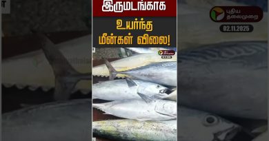 Augmentation des prix des poissons à Kasimedu, Chennai
