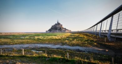 Normandie, Caen, Rouen, Mont-Saint-Michel, cliff, beach, cow, landscape, D-Day
