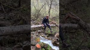 Aventure en montagne : randonnée au lac Lauvitel