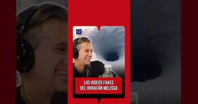 Avions au-dessus d'un ouragan et requins en piscine : vrai ou faux ?