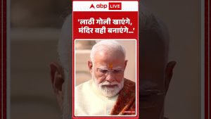 Ayodhya Ram Mandir : 'Nous construirons le temple, quoi qu'il arrive'