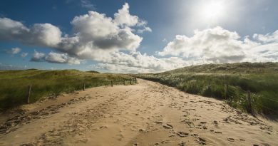 Nouvelle-Aquitaine, Bordeaux, Biarritz, dune, ocean, vineyard, forest, landscape