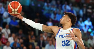 illustration agrandir l