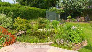 Bassin d’ornement : gestes simples pour réussir le nettoyage de printemps - ICI