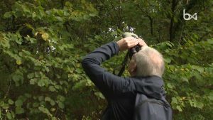 Bénévoles en action contre les frelons asiatiques, face aux coûts