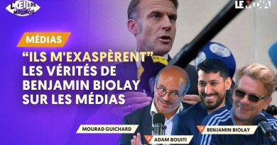 Benjamin Biolay : Vérités percutantes sur les médias