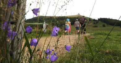 illustration agrandir l