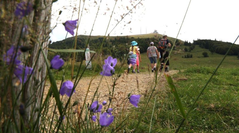 illustration agrandir l