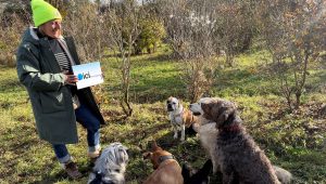 Bienvenue à la Villa des Truffes à Plombières les Dijon - ICI