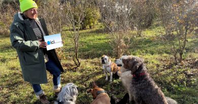 Bienvenue à la Villa des Truffes à Plombières les Dijon - ICI