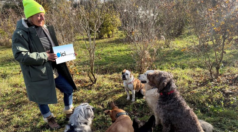 Bienvenue à la Villa des Truffes à Plombières les Dijon - ICI