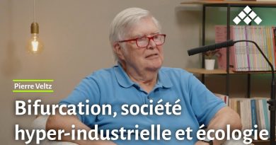 Bifurcation : Pierre Veltz sur l'hyper-industrie et l'écologie
