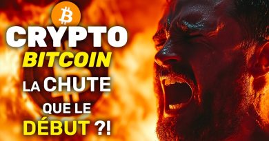 Bitcoin : Chute historique de 20 milliards, altcoins à -75%
