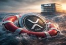 Bitwise : la bouée de sauvetage pour XRP ?