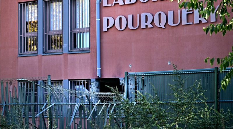 illustration agrandir l