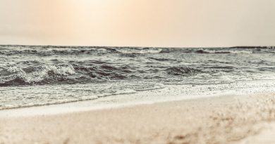 Corse, Ajaccio, Bastia, mountain, beach, sea, cliff, village, maquis, landscape
