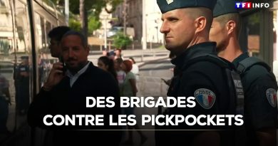 Brigades anti-pickpockets : la lutte s'intensifie
