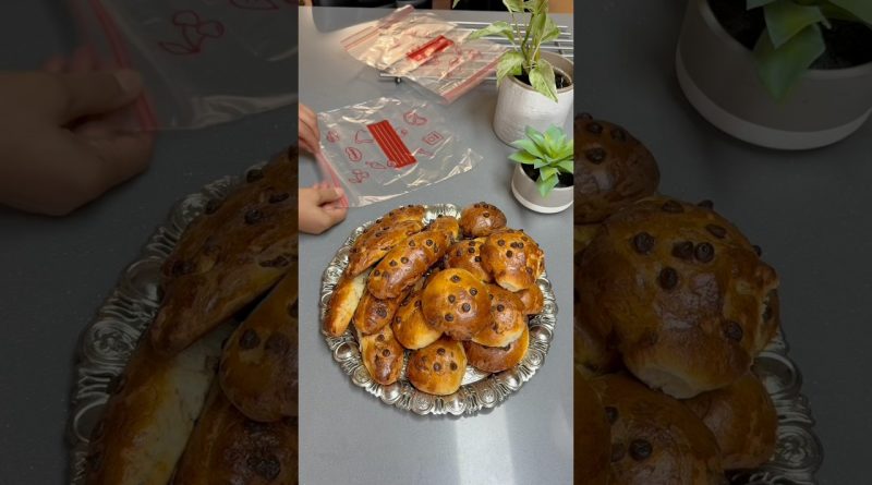 Brioche facile aux pépites de chocolat sans pétrissage