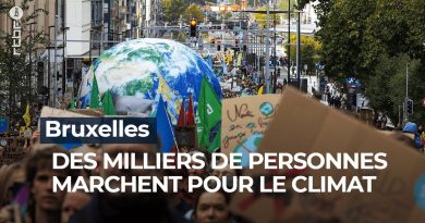 Bruxelles : des milliers de manifestants pour le climat