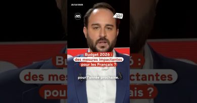 Budget 2026 : quelles mesures pour les Français ?