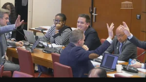 Budget dédié aux outre-mer : des députés de gauche et du RN limitent la casse en commission